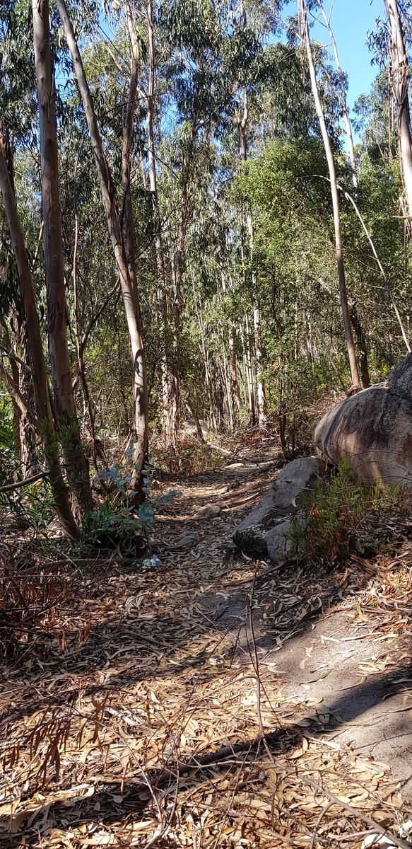 Barragem do Rio da Mula Sintra